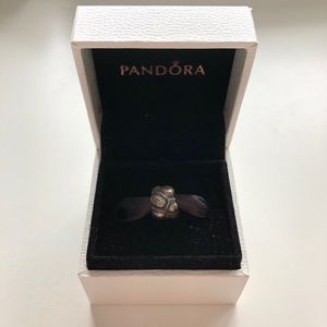 Pandora Tracks Charm